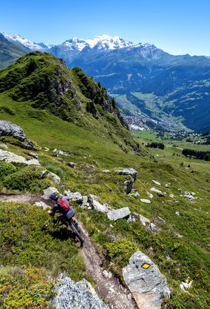 VTT Verbier